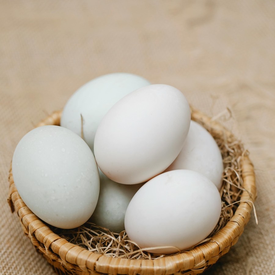 Fresh light-blue duck eggs in a wicker basket on burlap — Meyer Hobby Farm Boise Idaho