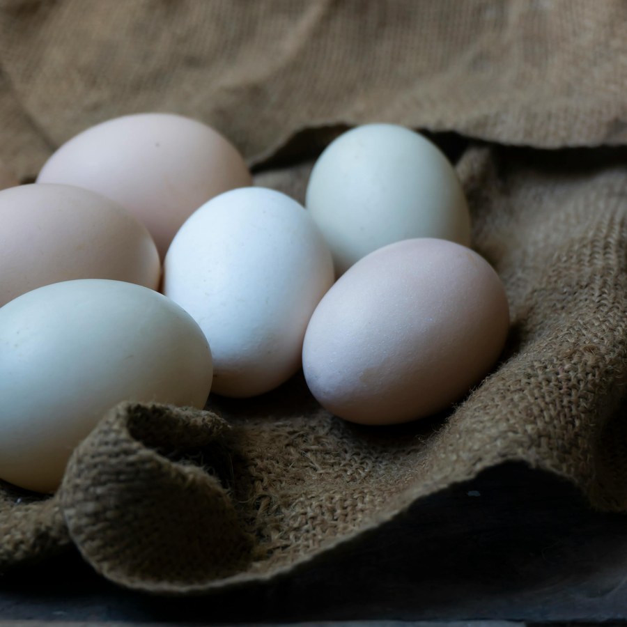 Farm Fresh Duck Eggs